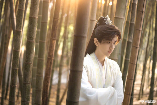 ▲▼成毅。（圖／翻攝自微博／成毅）