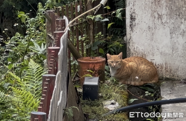 ▲▼             。（圖／記者李陳信得攝）