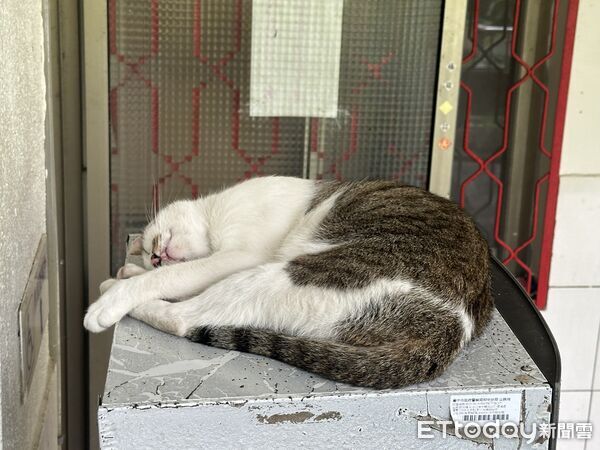 ▲▼             。（圖／記者李陳信得攝）