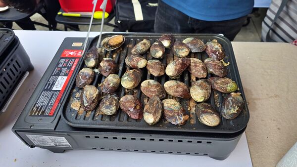 ▲新北推「搶鱻展售」希望廣場開賣。（圖／新北市漁業處提供）