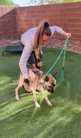 皮包骨狗狗。（圖／翻攝自IG@samantharcurtis）