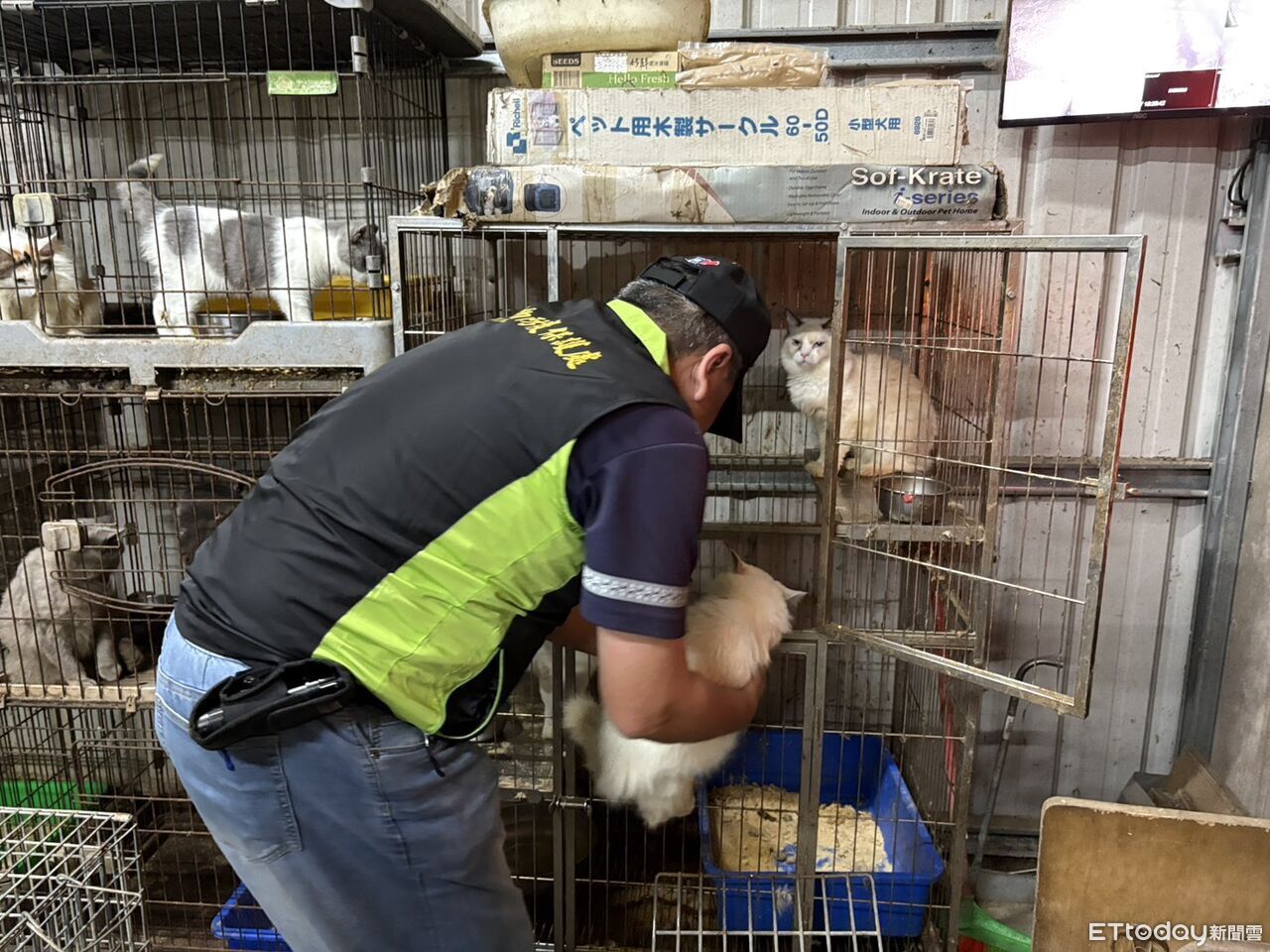 台南市動保處聯手警方掃黑非法犬貓繁殖場 犬貓送養並重罰涉案人