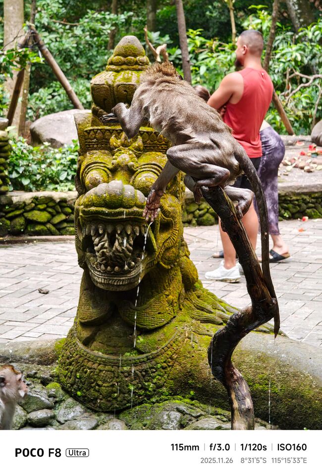 ▲▼             。（圖／記者蘇晟彥攝）