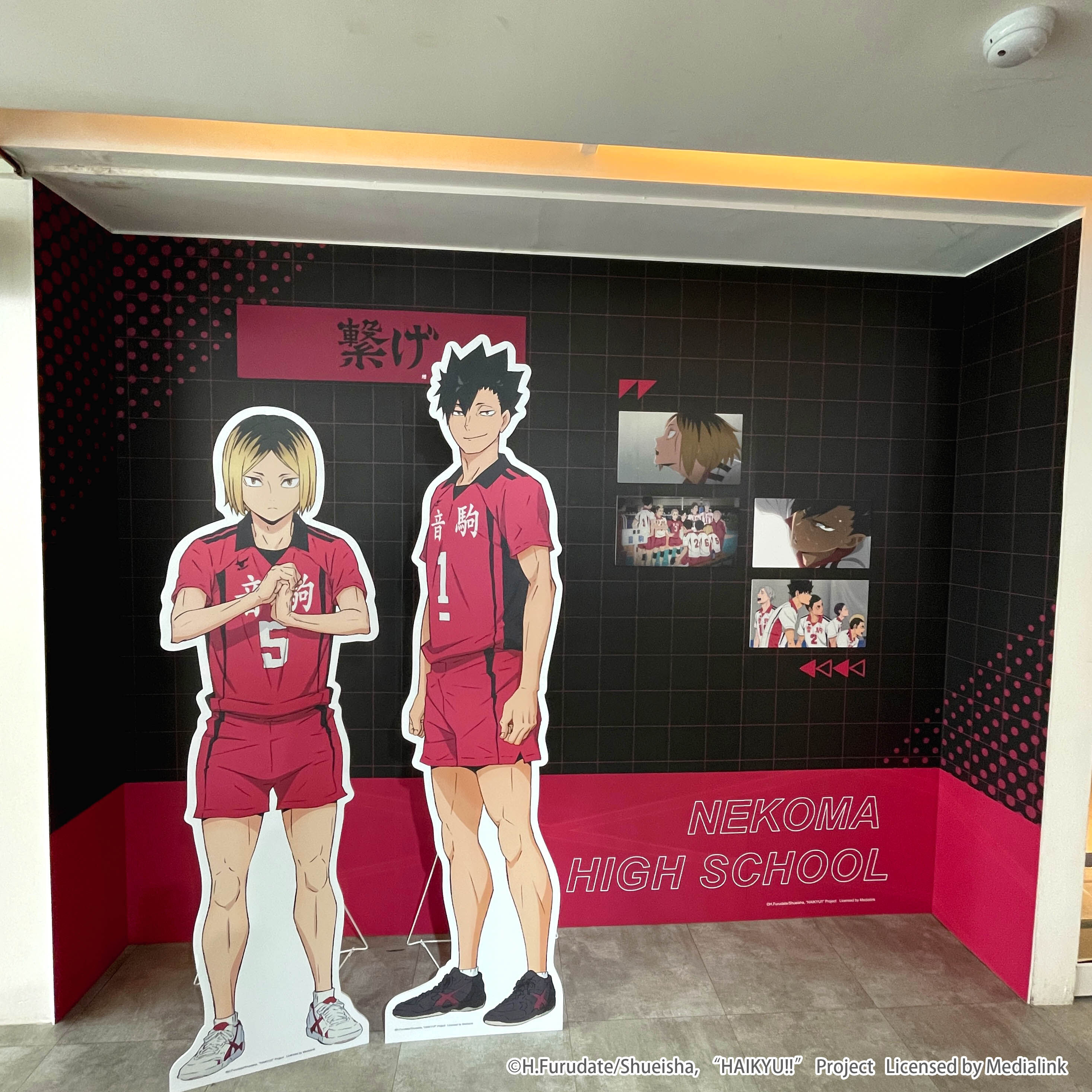 ▲▼排球少年。（圖／廠商提供）