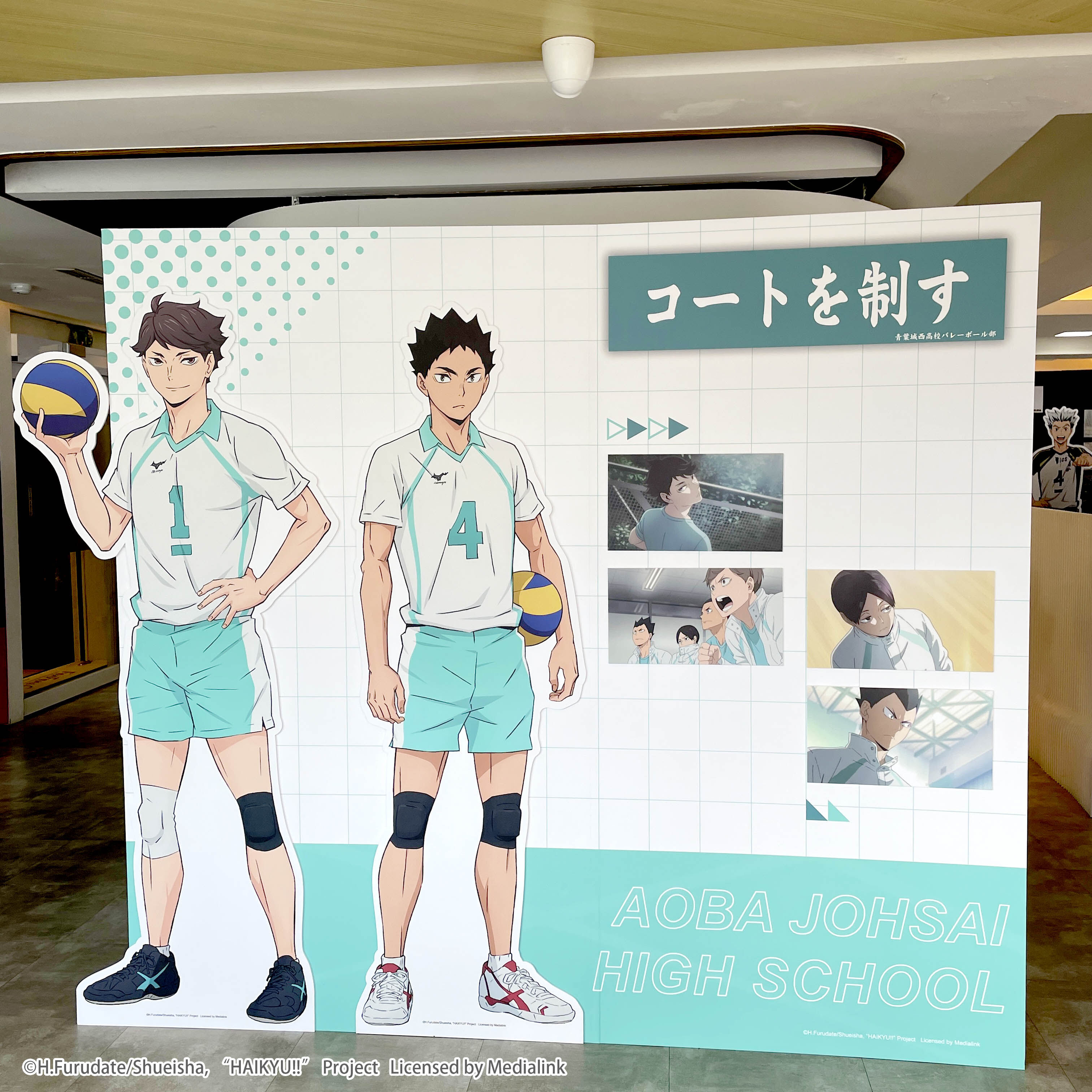 ▲▼排球少年。（圖／廠商提供）