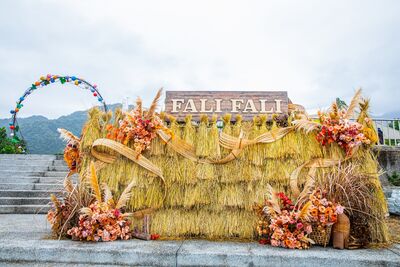 《2025 Fali Fali 音樂節》熱鬧開場！13位部落頭目齊聚祈福、人潮湧進馬太林文化園區