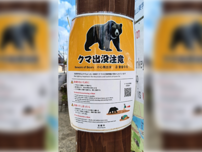 熊害京都也淪陷！市府「4國語言」立牌警告觀光客　嵐山也能遇熊