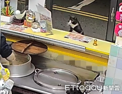 半夜收攤被撞毛毛的　調監視器見「肇事賓士」被可愛死