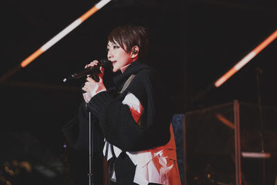 直擊／林憶蓮睽違9年現身台北！　「抱病上場快說不出話」一唱歌全場跪了