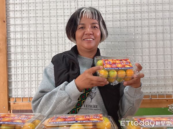 ▲台東關山「一口柑」產季登場吸引市場青睞。（圖／記者楊晨東翻攝）