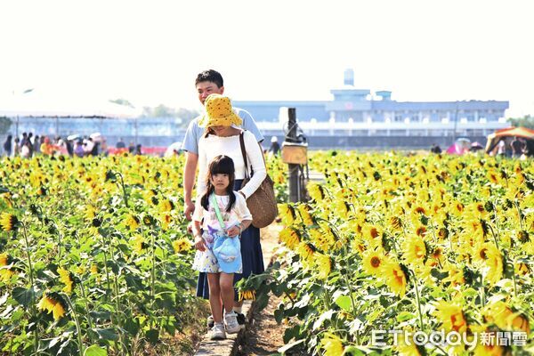 ▲▼   2025嘉義花海生活節 回嘉漫步徜徉花海與樂聲中  。（圖／嘉義市政府提供）