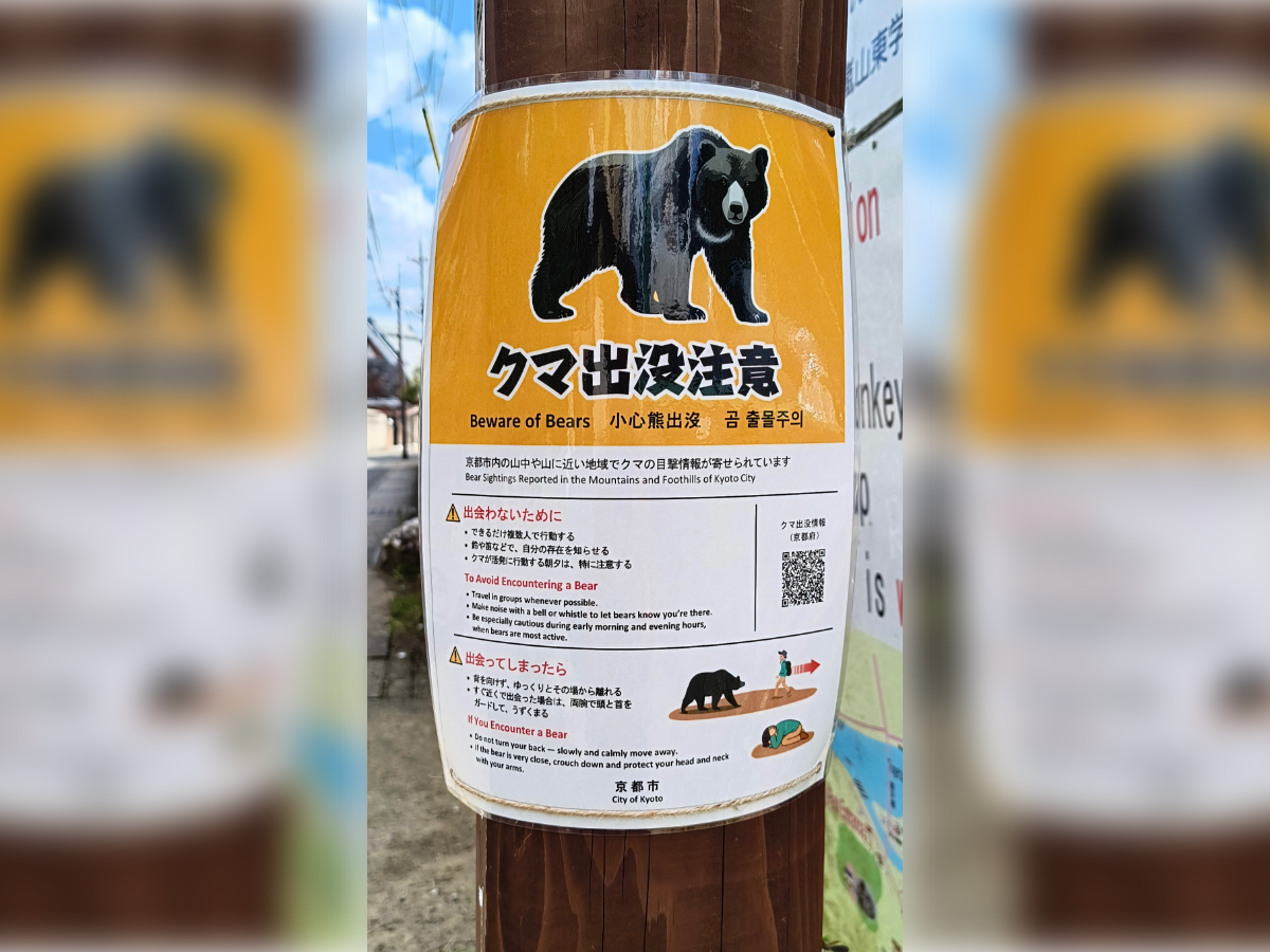 熊害京都也淪陷！市府「4國語言」立牌警告觀光客　嵐山也能遇熊