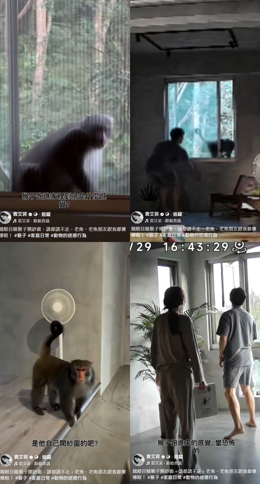 外送稿用　▲▼袁艾菲。（圖／翻攝自FACEBOOK／袁艾菲）