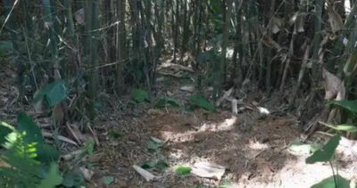 大叔挖蚯蚓竟掘出30公斤「精美大寶貝」　專家初判：來自千年前！