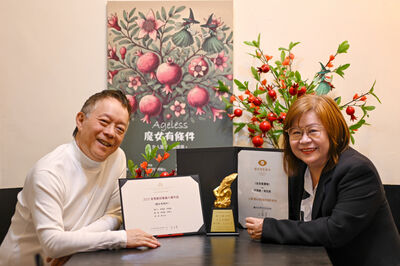 王菲幕後推手「轉型拍偶像劇慘賠」陷嚴重憂鬱　沈寂20年曝好消息