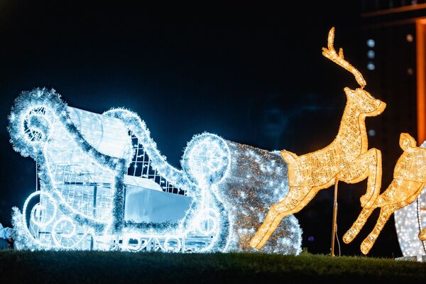 ▲中央公園26米永恆星冠樹昨點燈　高雄聖誕生活節正式登場。（圖／取自高雄市政府）