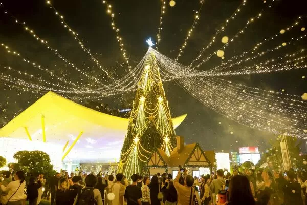▲中央公園26米永恆星冠樹昨點燈　高雄聖誕生活節正式登場。（圖／取自高雄市政府）