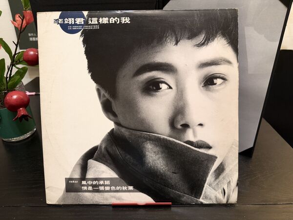 ▲潘重威和林貴敏合作緣起於李翊君的專輯《這樣的我》。（圖／創意大群組提供）