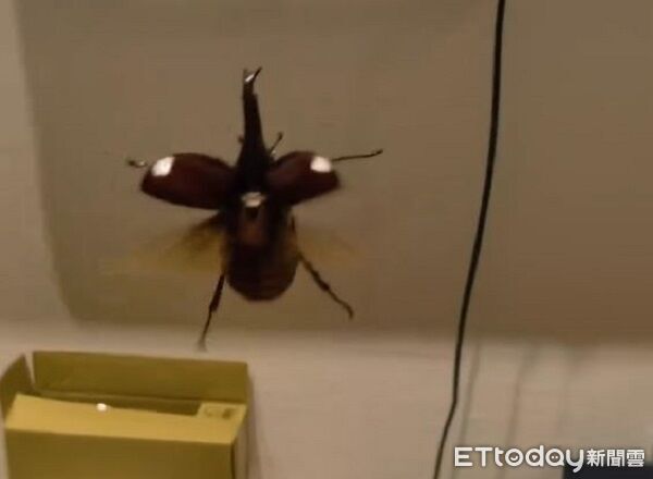 ▲。（圖／Threads@zong_cheng_提供，請勿隨意翻拍，以免侵權。）