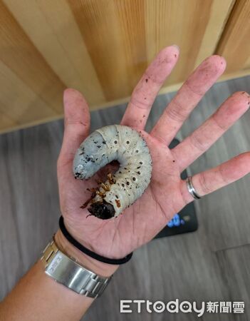 ▲。（圖／Threads@zong_cheng_提供，請勿隨意翻拍，以免侵權。）