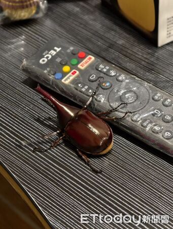 ▲。（圖／Threads@zong_cheng_提供，請勿隨意翻拍，以免侵權。）