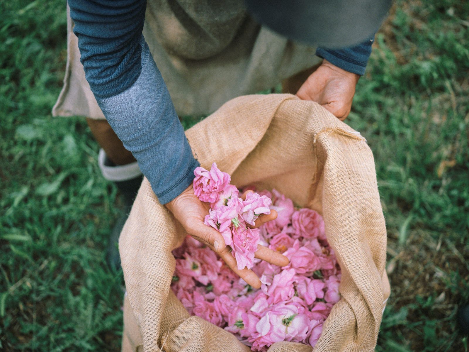 鬼塚虎不只賣鞋也要你飄香　Onitsuka Tiger一次推出四款香水