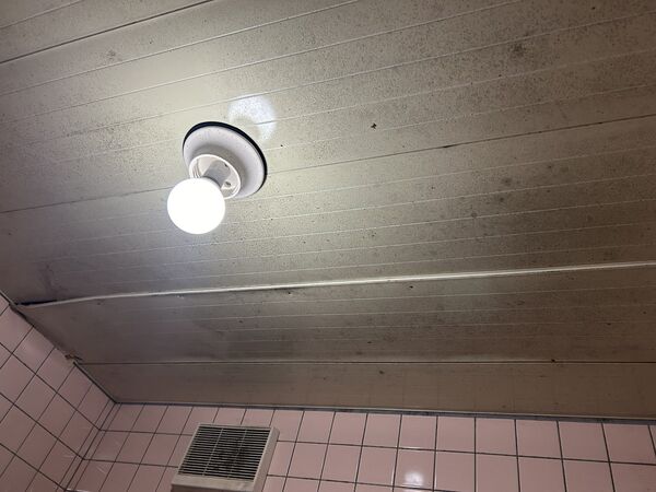 ▲。（圖／翻攝自X／@IJL4y3ydlOVBGgJ）