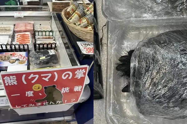 ▲▼熊掌上架日本超市。（圖／翻攝自Thread）