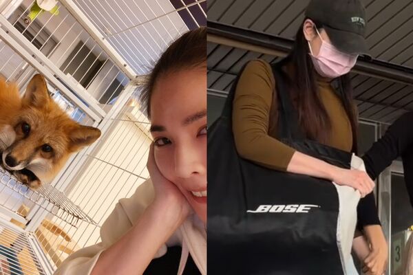 ▲▼             。（合成圖／翻攝自IG／蕭女）