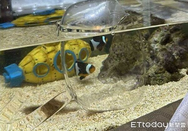 ▲。（圖／Threads@jiunwang16提供，請勿隨意翻拍，以免侵權。）