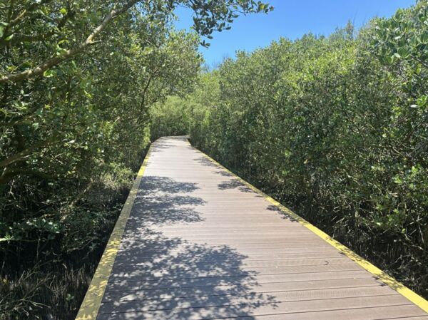 ▲▼台南雙春濱海遊憩區棧道。（圖／台南市政府提供）