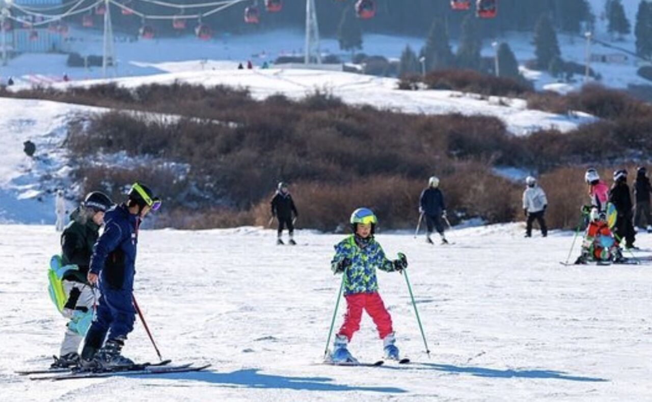 陸多地放「雪假」學生嗨翻　新疆最猛連放9天...學校不規定作業