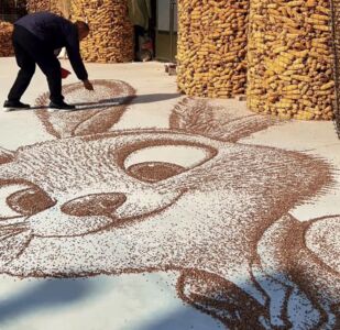 陸男子6小時完成「動物方城市」穀物畫　25公斤黑麥「灑出」兩主角