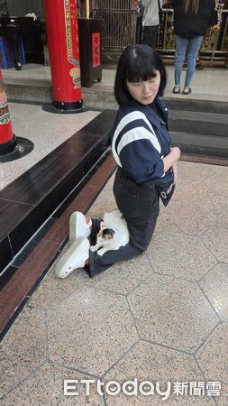 拜拜遇到廟貓踏踏。（圖／信眾李小姐提供）