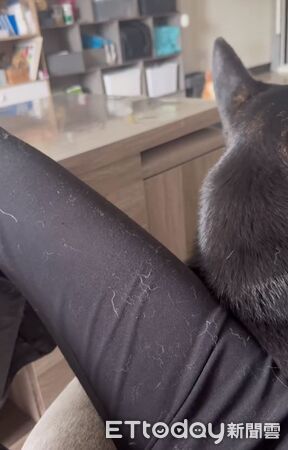 ▲。（圖／有點毛毛的／林君怡提供）