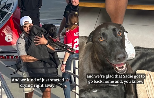 拉布拉多度假突然失蹤「AirTag發現落海」　救援1小時奇蹟尋回。（圖／翻攝自San Diego Fire-Rescue Department）