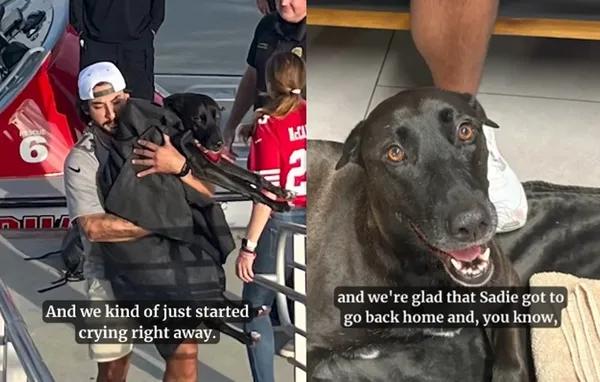 拉布拉多度假突然失蹤「AirTag發現落海」　救援1小時奇蹟尋回。（圖／翻攝自San Diego Fire-Rescue Department）