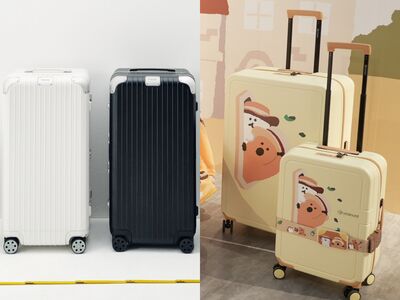 全球粉絲最愛行李箱進化更耐摔！DINOTAENG聯名送毛絨箱套萬元就有