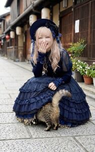 「日本美女」蹲下...貓鑽裙底照爆紅　吸1億人觀看！真實身分驚呆