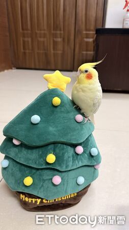 ▲。（圖／Threads@ztobbyyy提供，請勿隨意翻拍，以免侵權。）