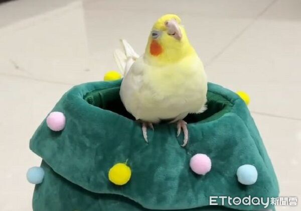 ▲。（圖／Threads@ztobbyyy提供，請勿隨意翻拍，以免侵權。）