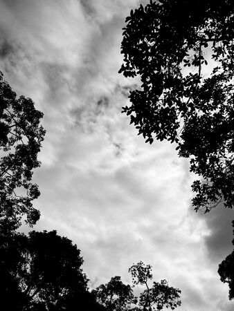 ▲▼香港大火釀151死　鄭秀文「拍戲空檔衝教堂祈禱」。（圖／翻攝自Facebook／鄭秀文 Sammi Cheng）