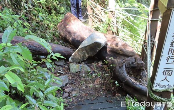 ▲▼             。（圖／記者李陳信得攝）