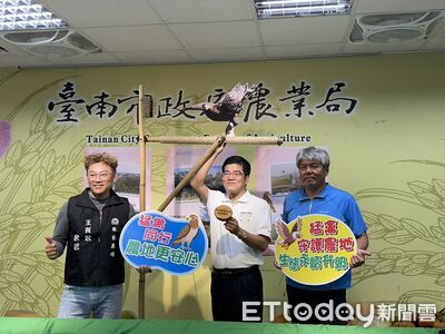 台南推猛禽棲架生物防治　10座上線助攻鼠害下降、農田更永續