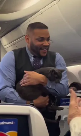 貓咪在飛機上遊蕩。（圖／翻攝自IG@jaytom531）