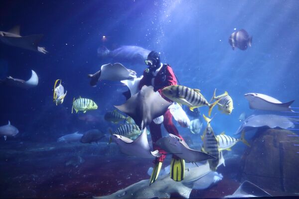 ▲▼花蓮遠雄海洋公園。（圖／業者提供）