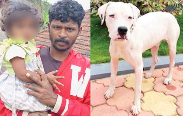 2歲女童樹林中迷路失蹤一夜　「鄰居家狗狗」安全把她帶回家。（圖／翻攝自X）