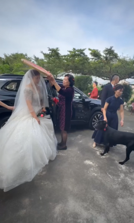 狗狗想搶上禮車。（圖／有點毛毛的／飼主劉依忻投稿）