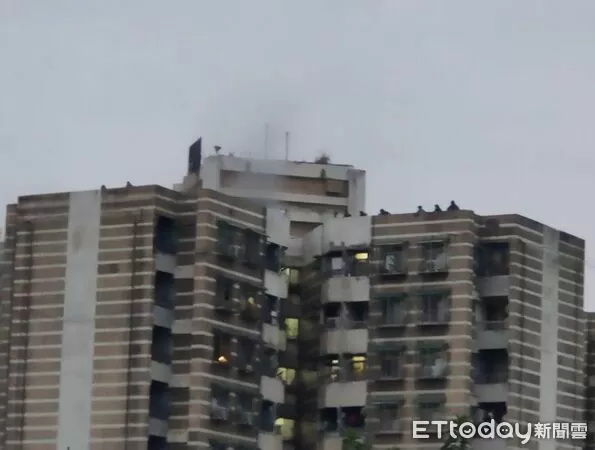 ▲▼             北市文山區一處社區大樓起火，1人不適送醫。（圖／記者黃彥傑翻攝）