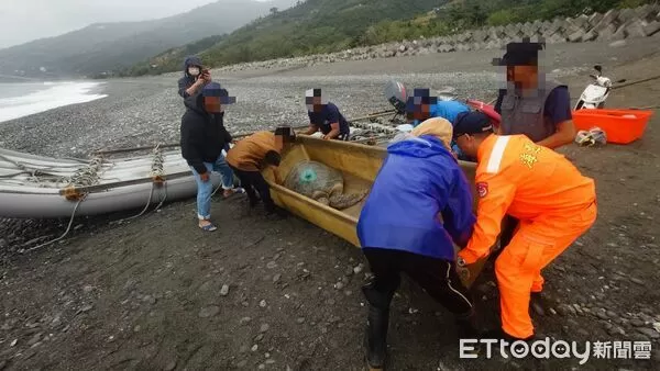 ▲受困海龜，海巡與海保署合作順利野放。（圖／記者楊晨東翻攝）